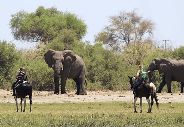 6 Day Okavango Delta Horseback Safari in Botswana